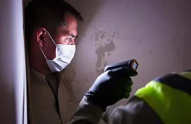 Mold Inspection